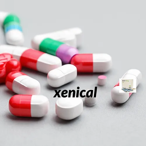 Precio pastillas xenical roche